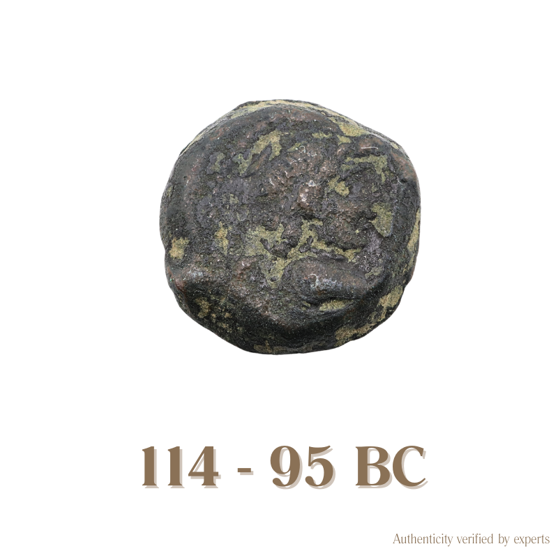 Antiochos IX Eusebes • Seleukid Kingdom • Bronze Coin • 112-101 BC