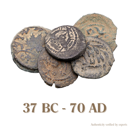 Herod the Great & First Jewish Revolt • Judea • 1 Bronze Coin • 37 BC-70 AD