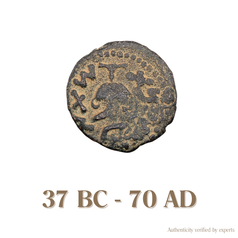 Herod the Great & First Jewish Revolt • Judea • 1 Bronze Coin • 37 BC-70 AD
