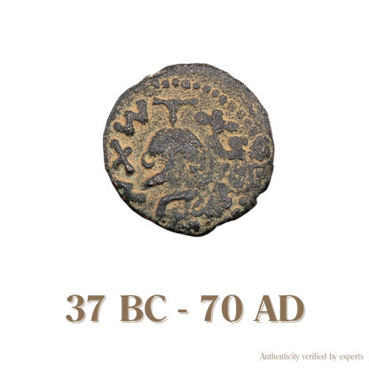 Herod the Great & First Jewish Revolt • Judea • 1 Bronze Coin • 37 BC-70 AD