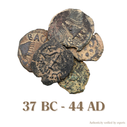 Herodian Kings of Judaea • Judea • 1 Bronze Coin • 37 BC-44 AD