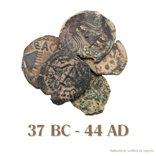 Herodian Kings of Judaea • Judea • 1 Bronze Coin • 37 BC-44 AD