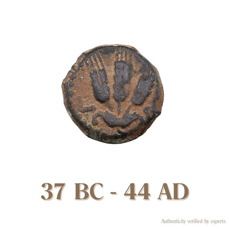 Herodian Kings of Judaea • Judea • 1 Bronze Coin • 37 BC-44 AD