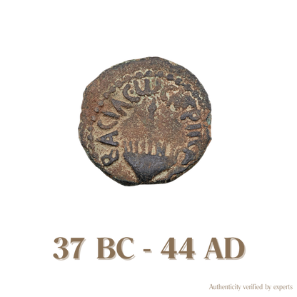 Herodian Kings of Judaea • Judea • 1 Bronze Coin • 37 BC-44 AD