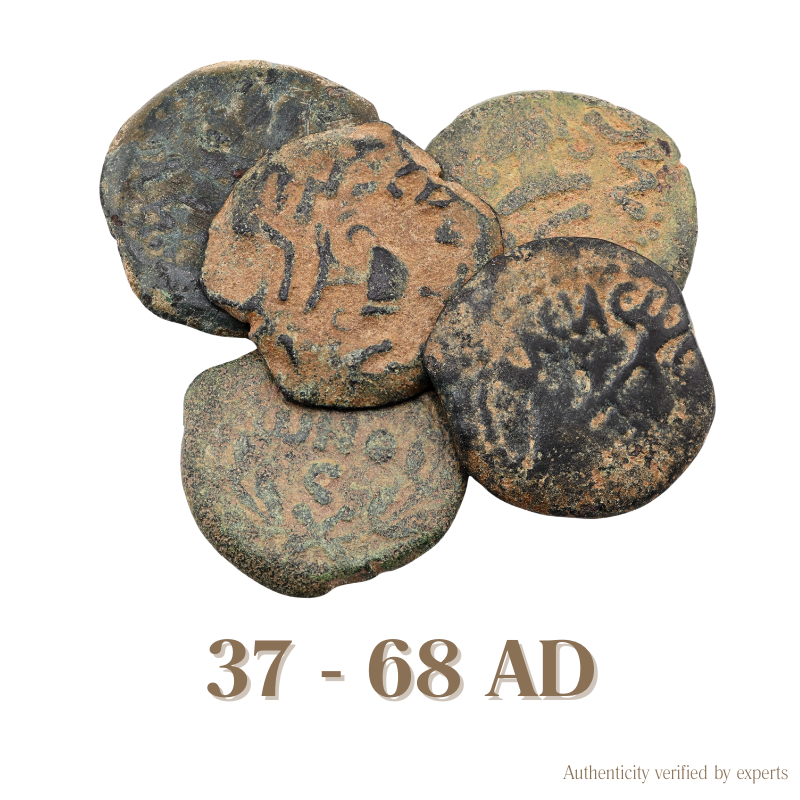 Judaean Bronze Coin • Judaea • 1 Bronze Coin • 37-68 AD