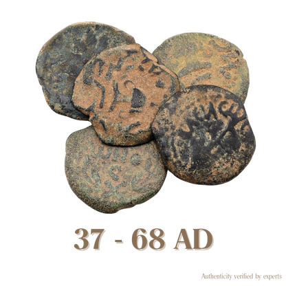 Judaean Bronze Coin • Judaea • 1 Bronze Coin • 37-68 AD