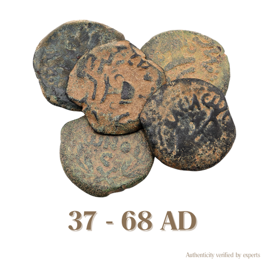 Judaean Bronze Coin • Judaea • 1 Bronze Coin • 37-68 AD
