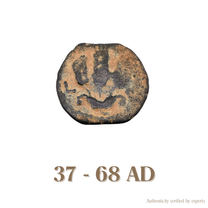 Judaean Bronze Coin • Judaea • 1 Bronze Coin • 37-68 AD
