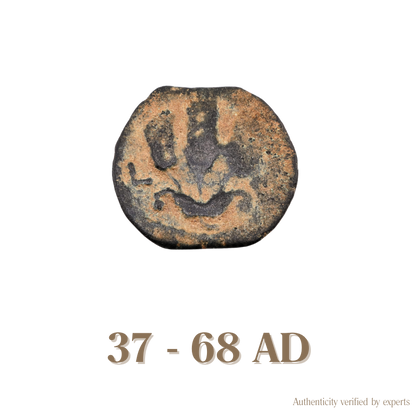 Judaean Bronze Coin • Judaea • 1 Bronze Coin • 37-68 AD
