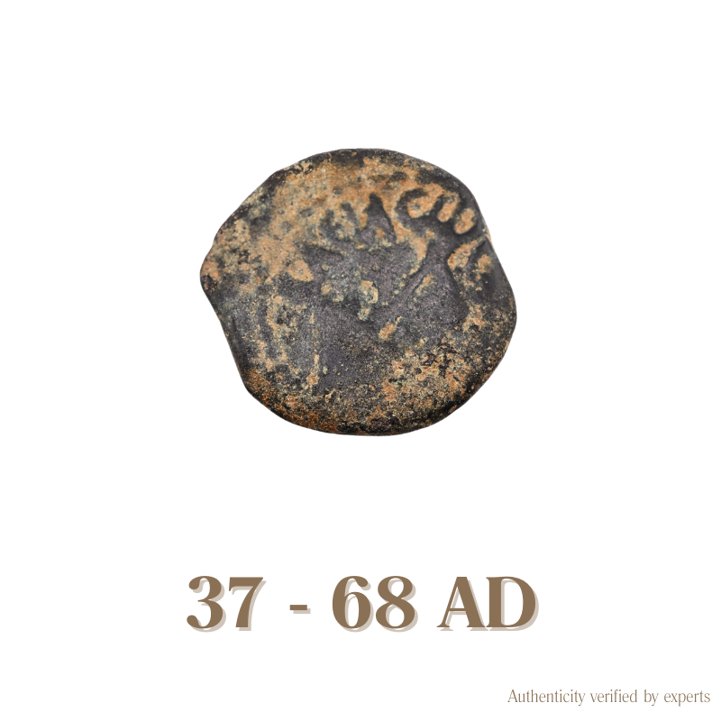 Judaean Bronze Coin • Judaea • 1 Bronze Coin • 37-68 AD