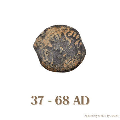 Judaean Bronze Coin • Judaea • 1 Bronze Coin • 37-68 AD