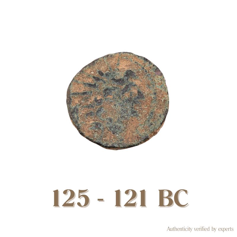 Kleopatra Thea & Antiochos VIII • Seleukid Kingdom • Bronze Coin • 125-121 BC