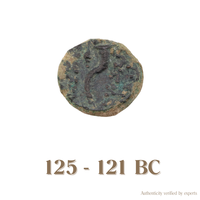 Cleopatra Thea & Antiochos VIII Epiphanes • Seleukid Kingdom • Bronze Coin • 125-121 BC