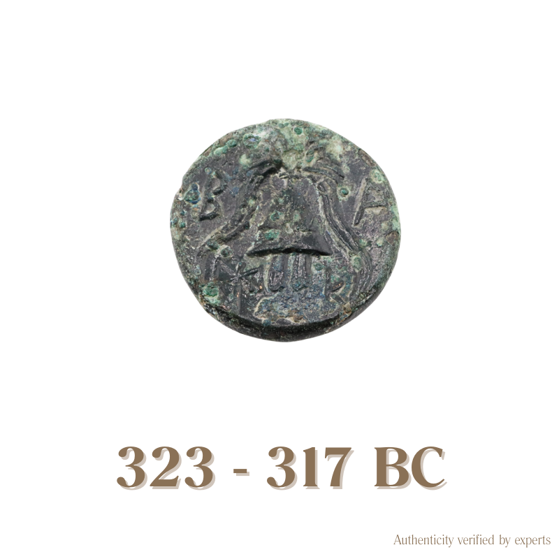 Philip III Arrhidaios • Macedon Empire • Bronze Coin • 323-317 BC