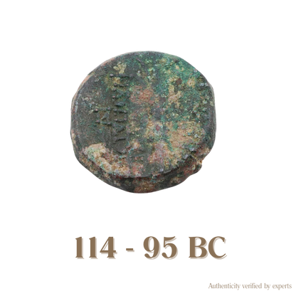 Antiochos IX • Seleukid Kingdom • Bronze Coin • 114-95 BC