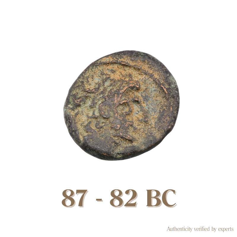 Antiochos XI Dionysos • Seleukid Kingdom • Bronze Coin • 87-83 BC