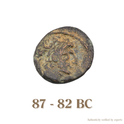 Antiochos XI Dionysos • Seleukid Kingdom • Bronze Coin • 87-83 BC
