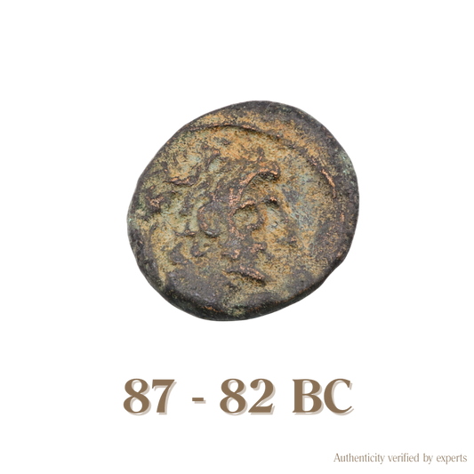 Antiochos XI Dionysos • Seleukid Kingdom • Bronze Coin • 87-83 BC