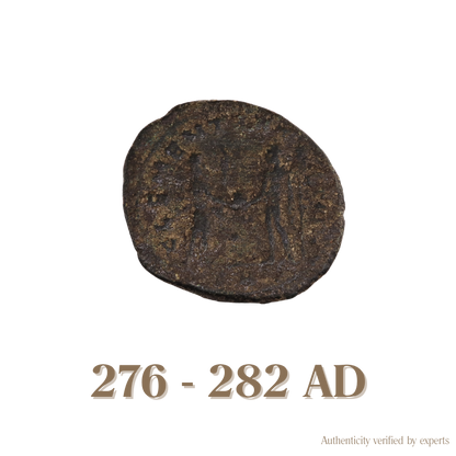 Probus Antoninianus • Roman Empire • Bronze Coin • 276-282 AD