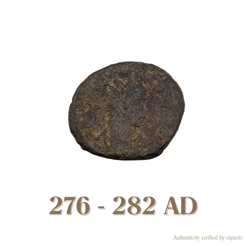 Probus Antoninianus • Roman Empire • Bronze Coin • 276-282 AD