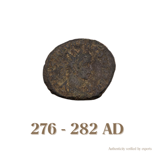 Probus Antoninianus • Roman Empire • Bronze Coin • 276-282 AD